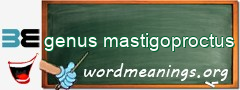 WordMeaning blackboard for genus mastigoproctus